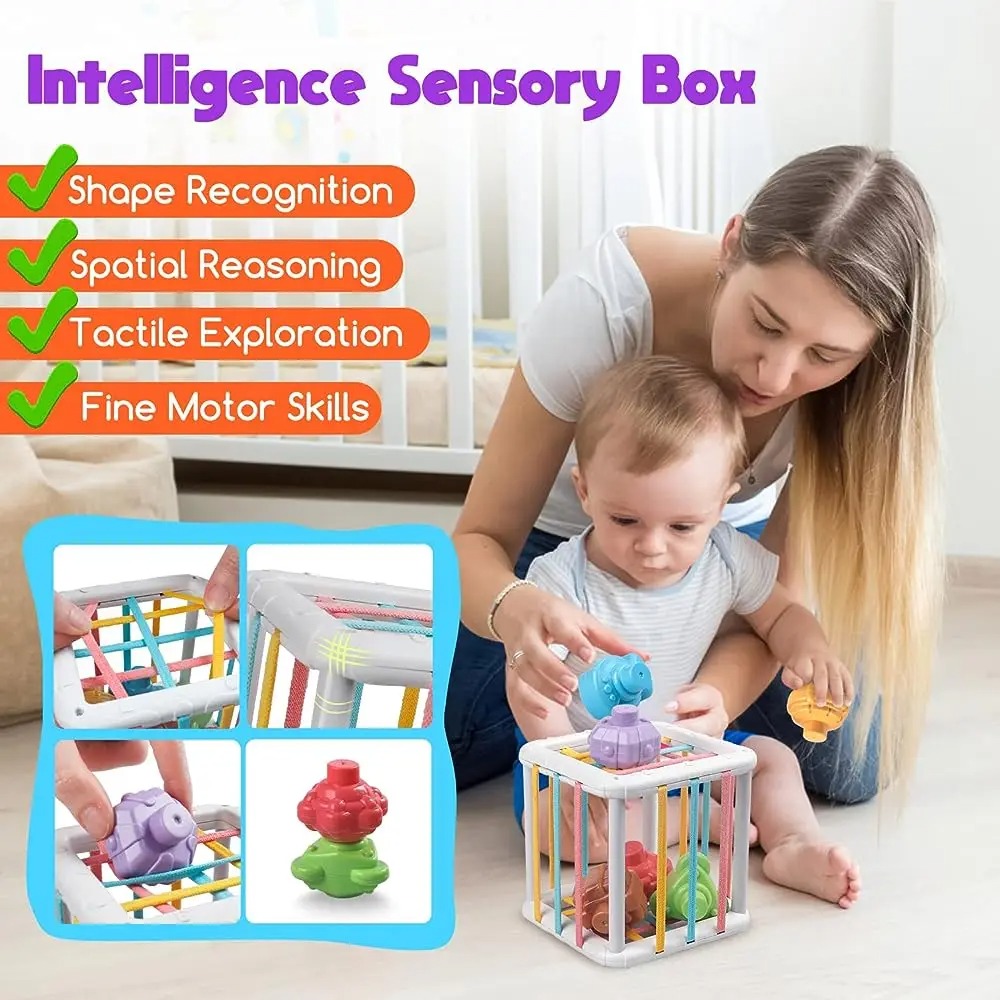 Regenbogenfarbiger Montessori- – Kids Toys Variety Bewertung und Preis
