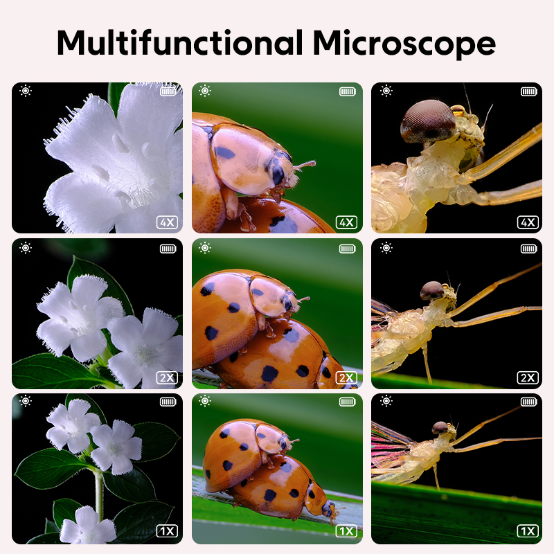 Optisches Mini-Mikroskop für K – Toys For Kids Video Bewertung und Preis